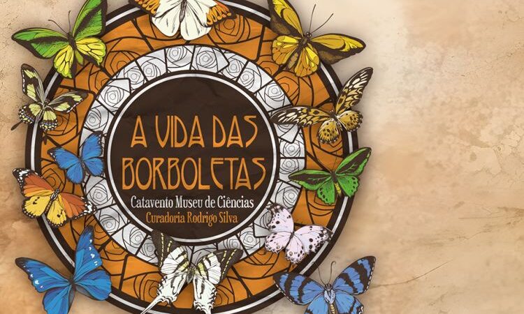 Atibaia recebe exposição “A Vida das Borboletas” até dezembro