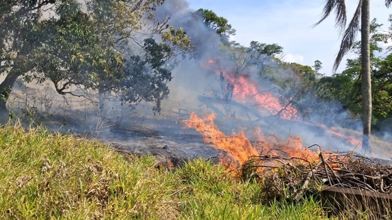 Homem é investigado por incêndio em mata em Bragança Paulista