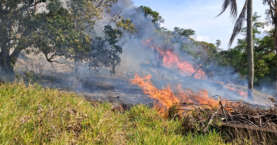 Homem é investigado por incêndio em mata em Bragança Paulista