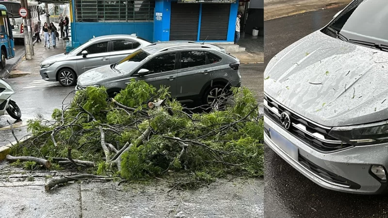 Árvore atinge carro na Rodoviária Velha em Bragança Paulista