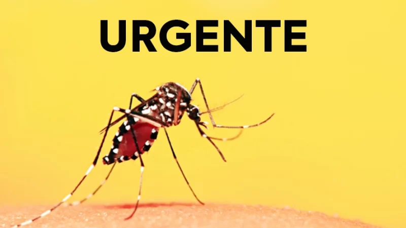URGENTE: Morador de Bragança Paulista morre por Febre Amarela