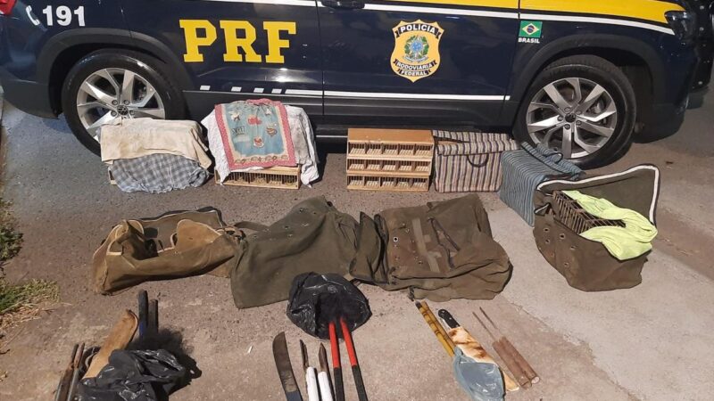 PRF prende envolvido com caça ilegal de pássaros pela 13ª vez
