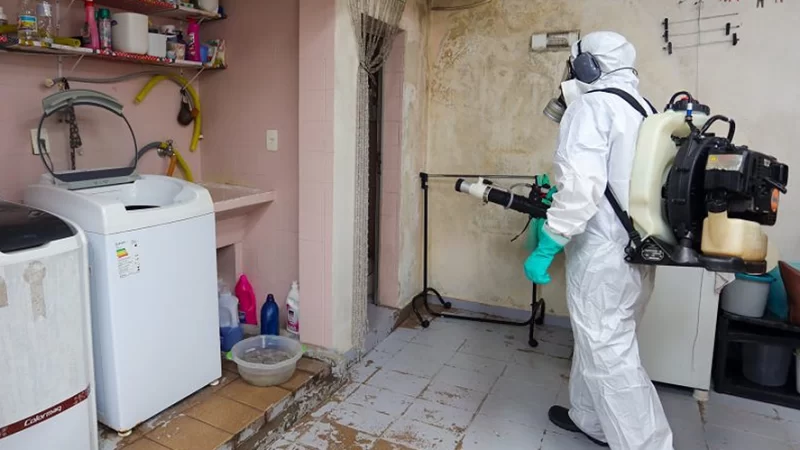 Bragança figura entre as cidades com altos índices de dengue