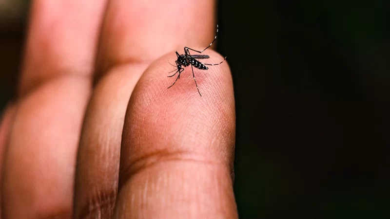 Bragança Paulista registra 1º óbito por dengue em 2025