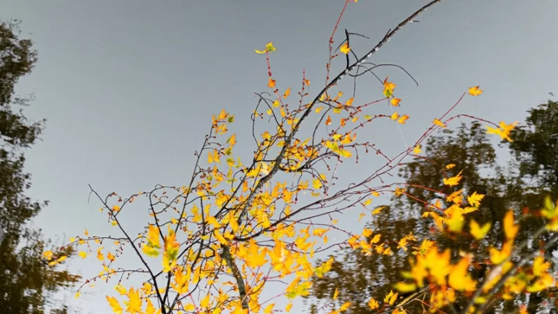 Feriado terá máxima de 23°C  em Bragança Paulista