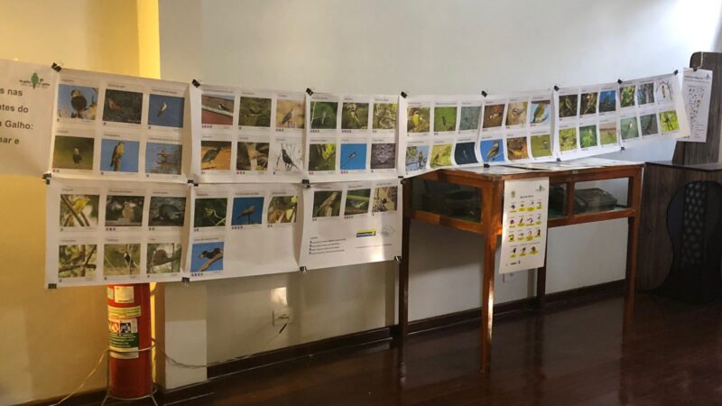 Bragança Paulista divulga programação do Junho VerdeAzul