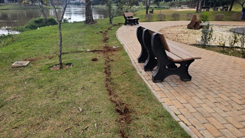 Ladrões furtam cabos no Jardim Japonês no Lago do Taboão