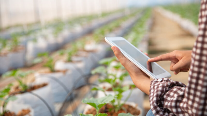 Tecnologias aplicadas ao agronegócio é tema de workshop