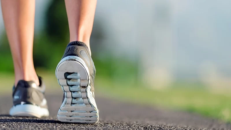 USF recruta atletas com dor relacionada aos tendões