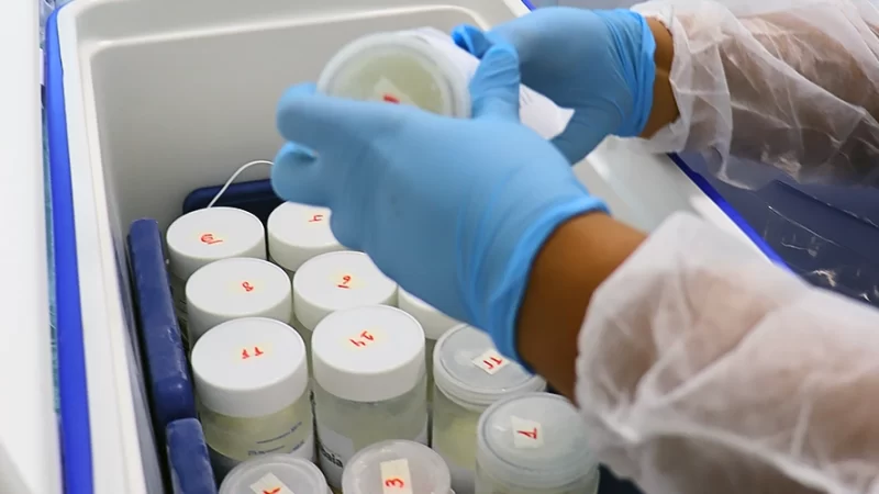 Bebês internados na UTI neonatal recebem leite materno no HUSF
