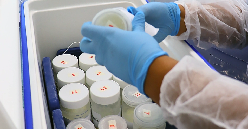 Bebês internados na UTI neonatal recebem leite materno no HUSF