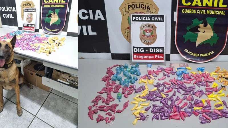 DISE apreende 500 porções de drogas com ajuda de cão farejador