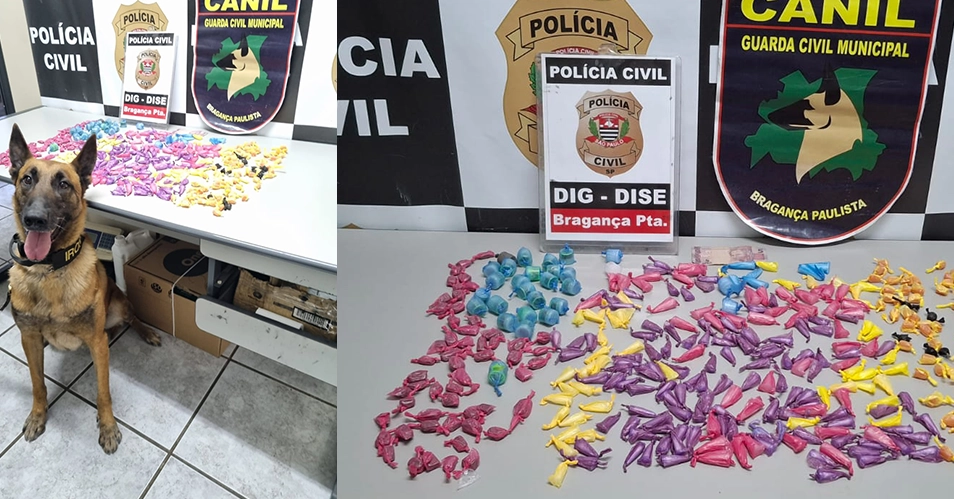 DISE apreende 500 porções de drogas com ajuda de cão farejador