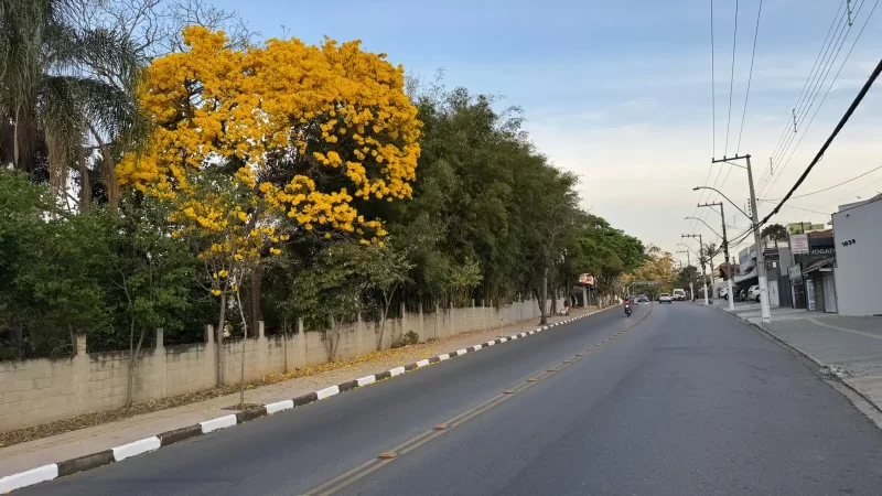 Previsão para Bragança indica máxima de 31°C durante a semana