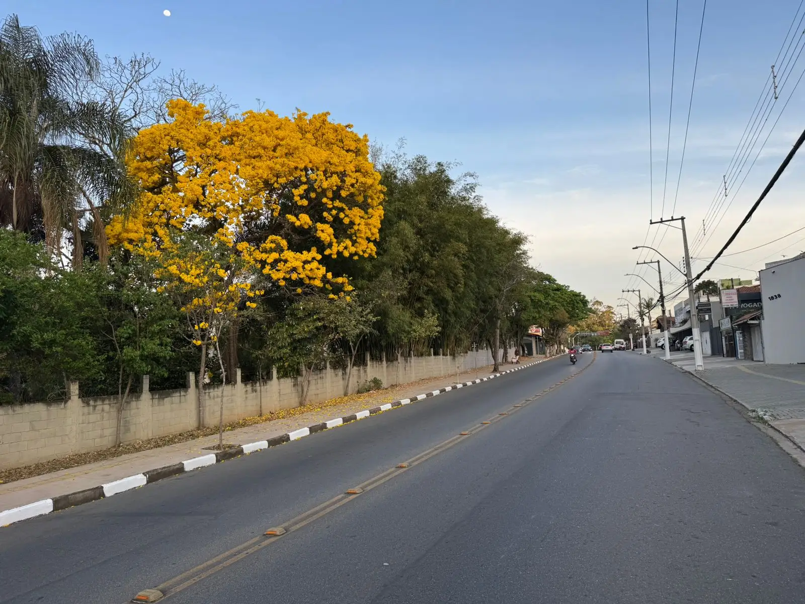 Previsão para Bragança indica máxima de 31°C durante a semana