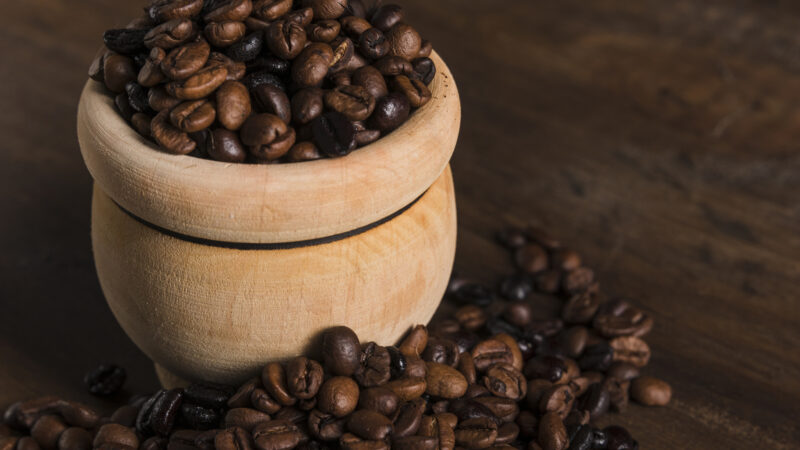 Seminário sobre Cultivo de Café acontece dia 26 em Bragança
