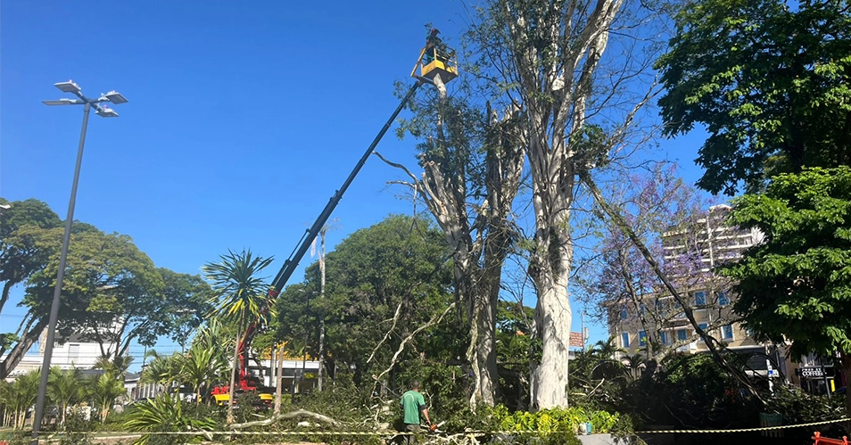 Árvores são cortadas da Praça José Bonifácio