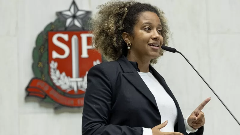 Bancada Feminista acusa Edmir Chedid de violência de gênero
