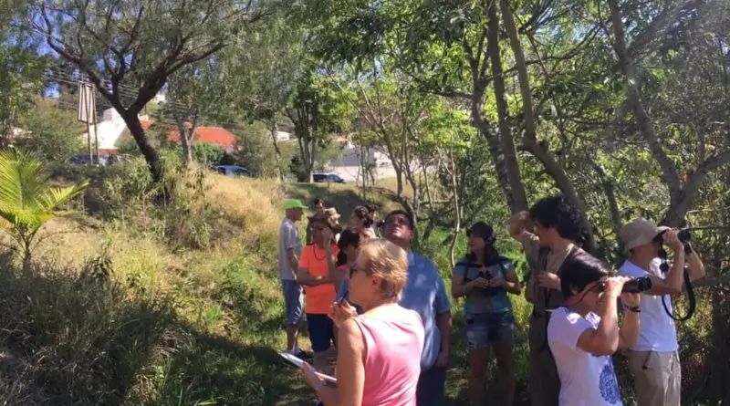 Dia de São Francisco tem evento de observação de aves em Bragança Paulista