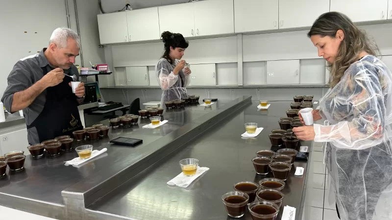 Concurso de Qualidade do Café de São Paulo está com inscrições abertas