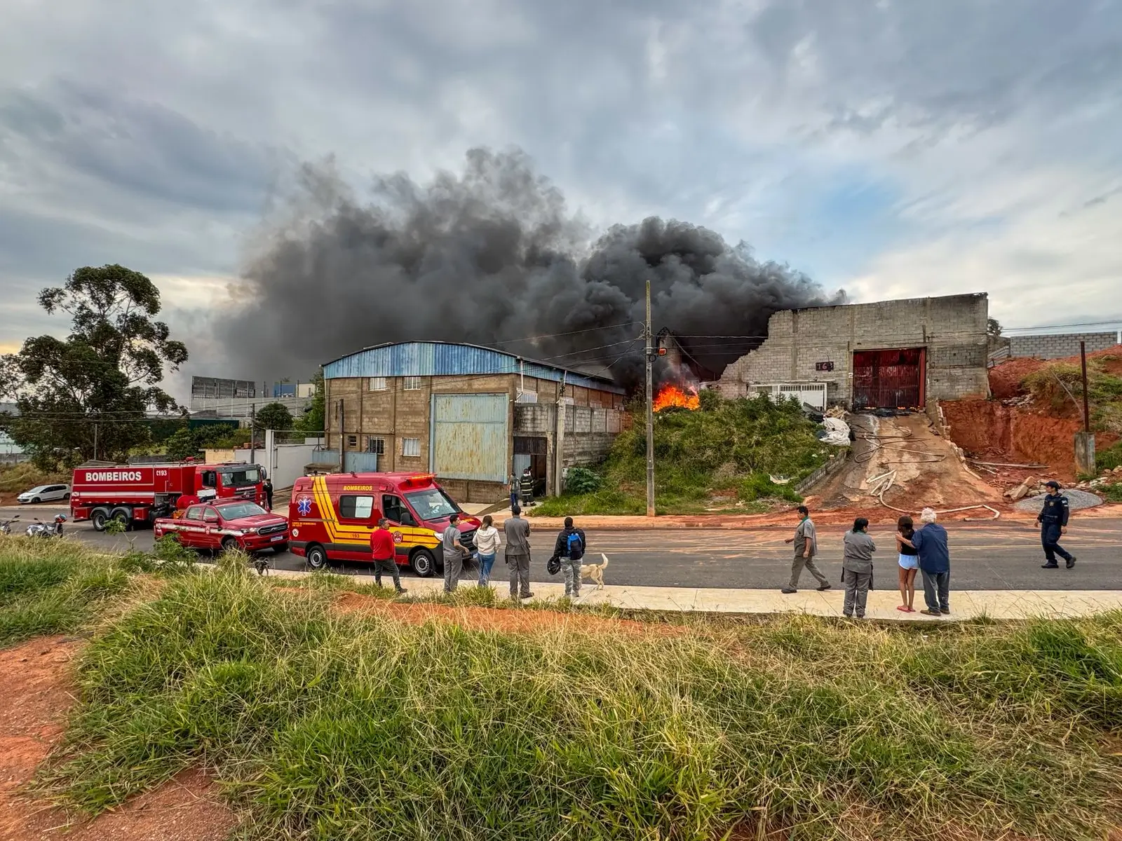 Empresa de itens para pets pega fogo em Bragança Paulista