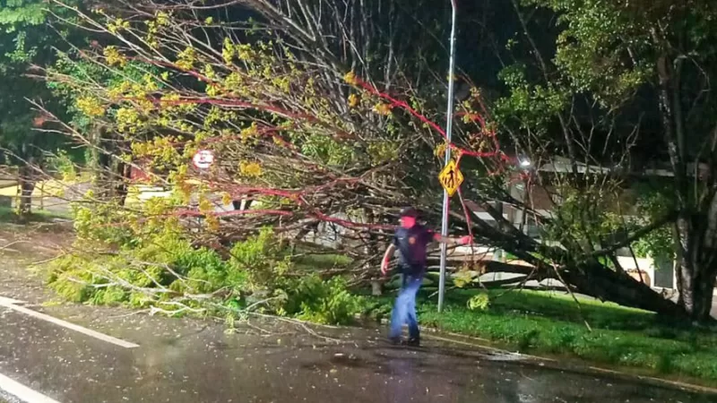 Bragança Paulista registra tempestade com ventos de 65,88 km/h