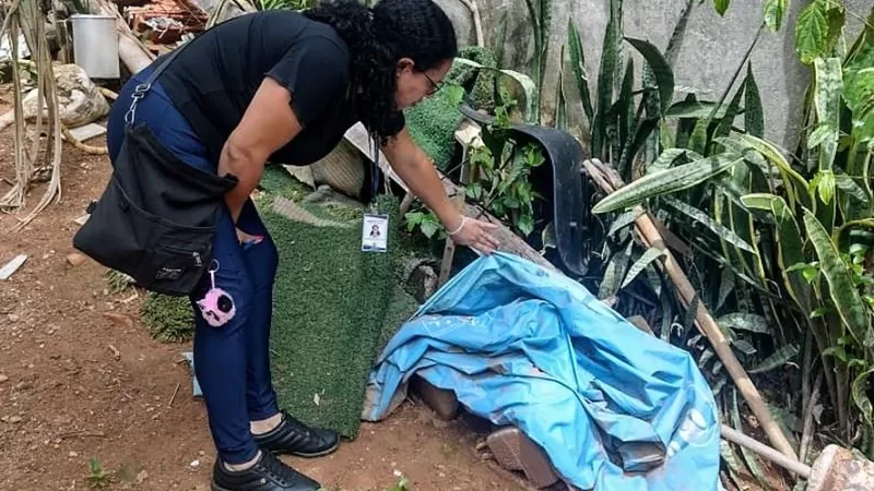 Bragança Paulista registra 386 casos de dengue em 2025