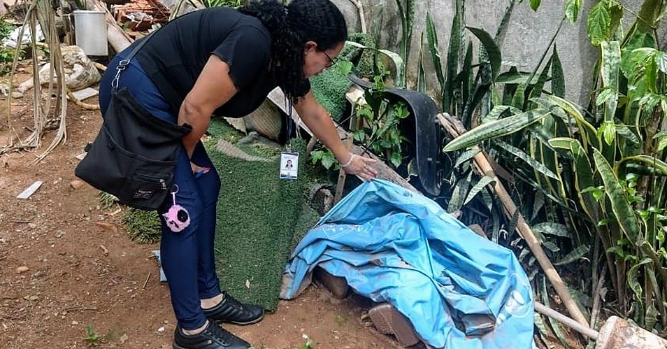 Bragança Paulista registra 386 casos de dengue em 2025