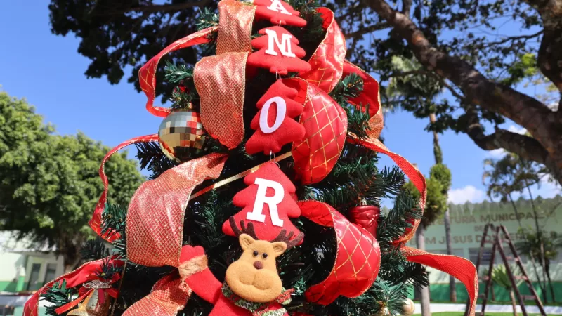 Natal 2025: Bom Jesus dos Perdões divulga programação