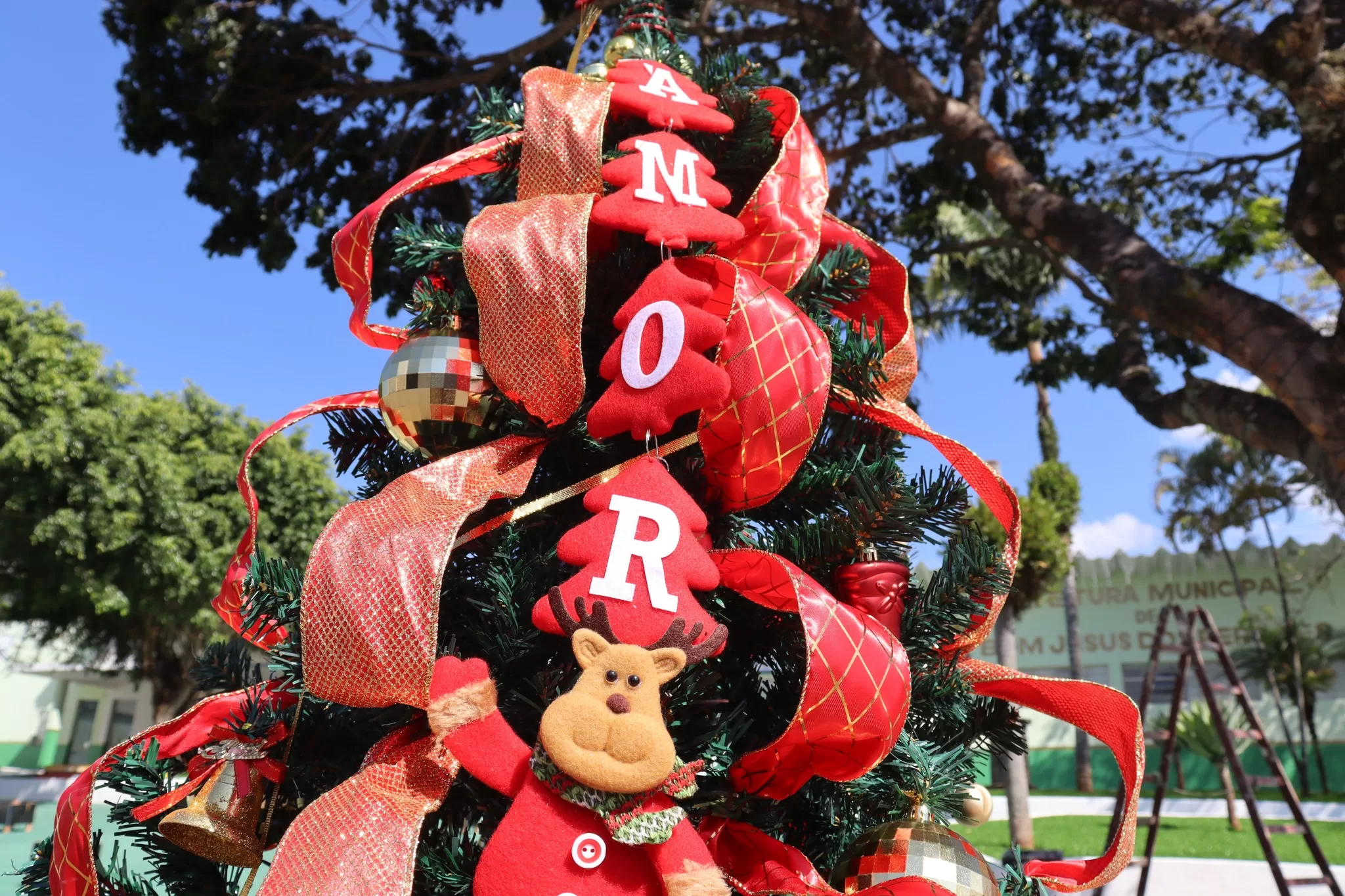 Natal 2025: Bom Jesus dos Perdões divulga programação
