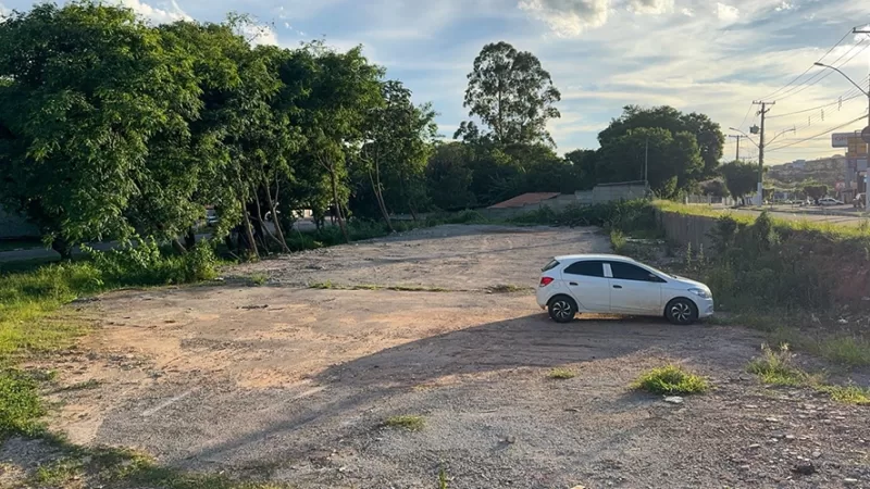 Área de Preservação Permanente deve ser revegetada