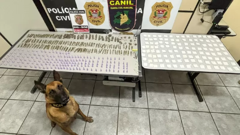 Operação da DISE e Canil apreende 400 porções de drogas
