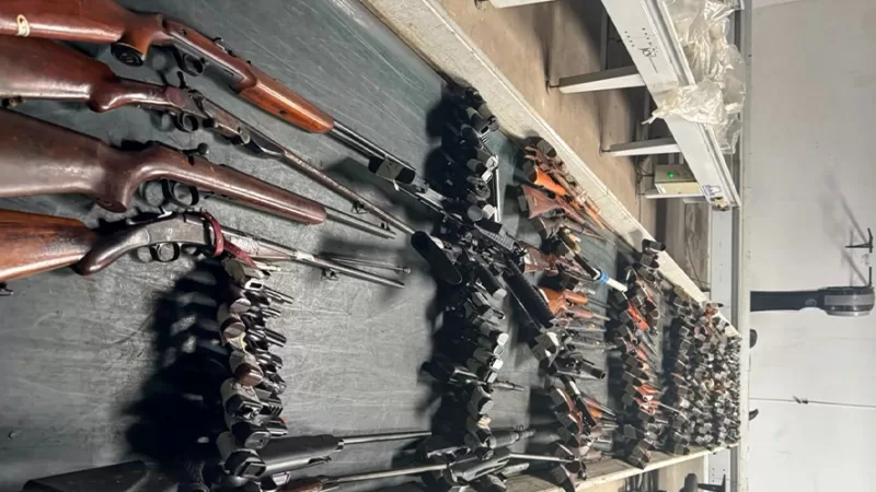 Delegacia Seccional destrói 370 armas