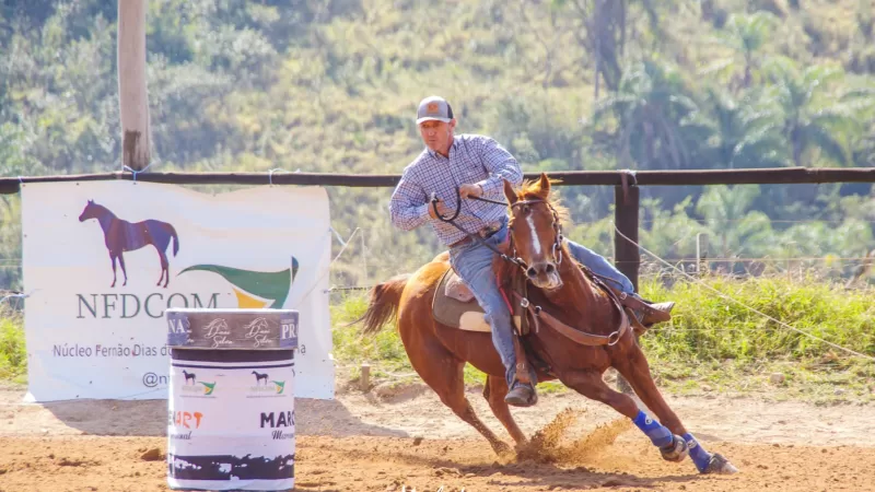 Bragança recebe Campeonato de Cavalo Quarto de Milha