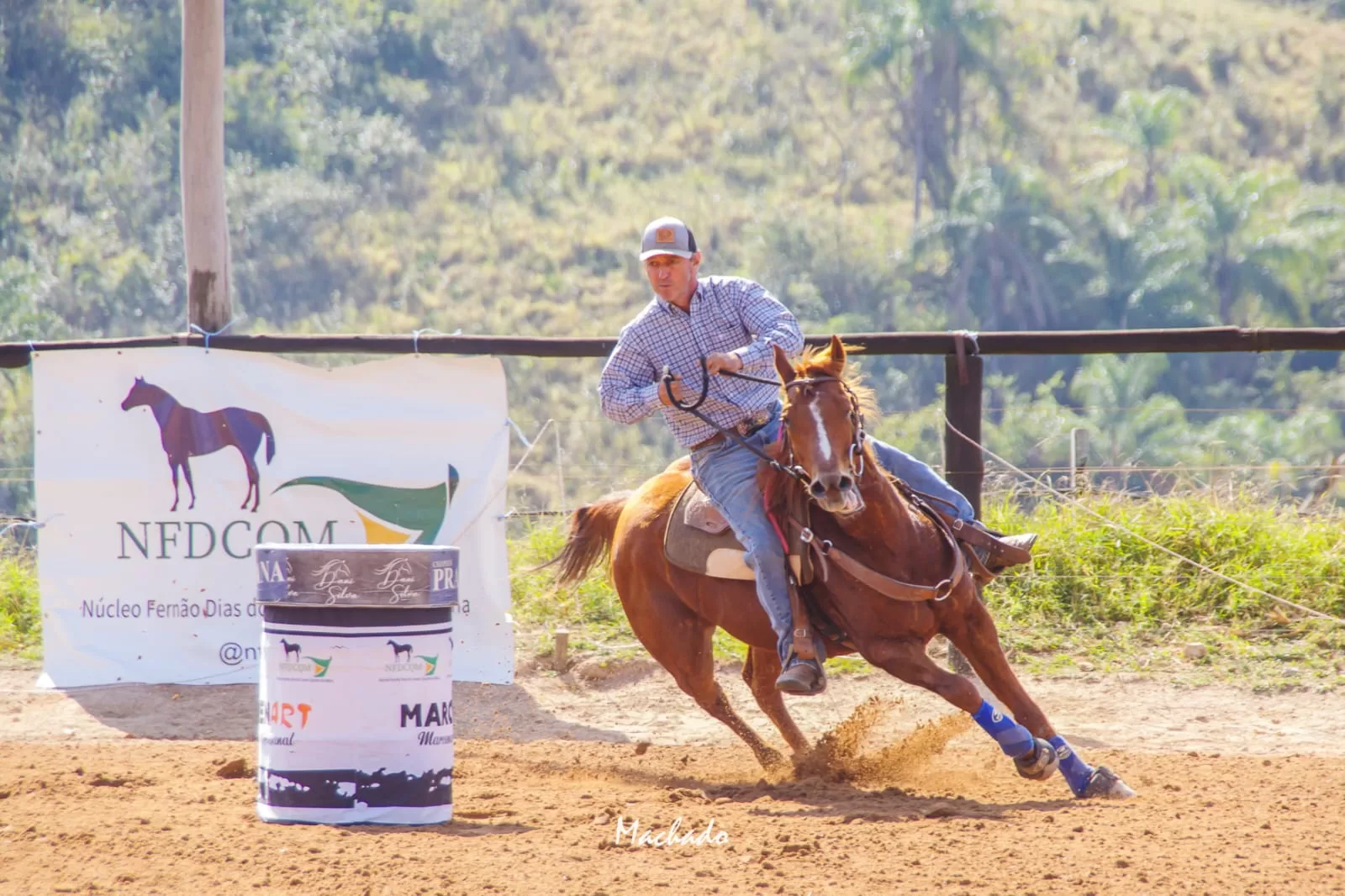 Bragança recebe Campeonato de Cavalo Quarto de Milha