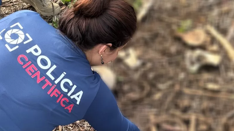 Polícia Civil encontra ossada humana em área de carvoaria