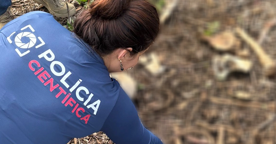 Polícia Civil encontra ossada humana em área de carvoaria