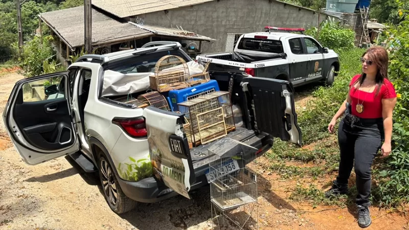 Polícia apreende pássaros silvestres na Água Comprida