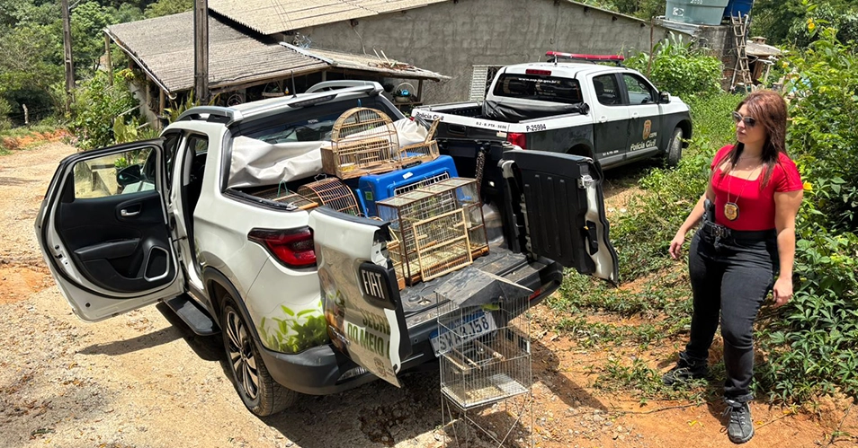 Polícia apreende pássaros silvestres na Água Comprida