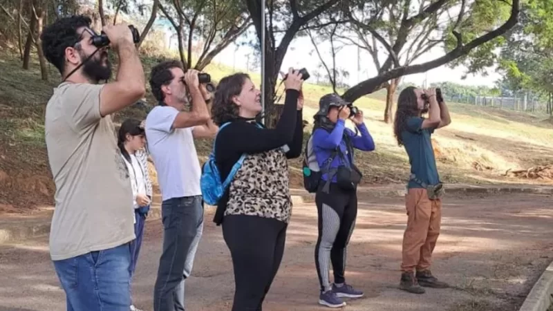 39ª edição do Vem Passarinhar acontece sábado em Bragança
