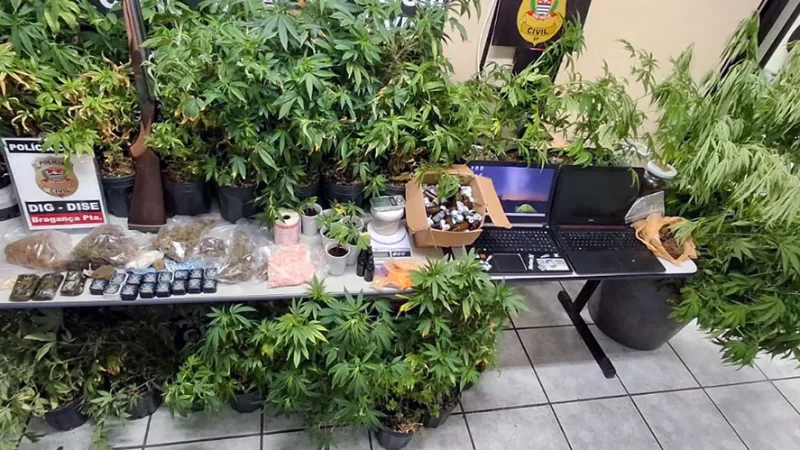 DISE apreende 23kg de maconha em Bragança Paulista