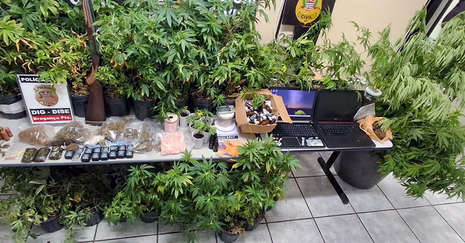 DISE apreende 23kg de maconha em Bragança Paulista
