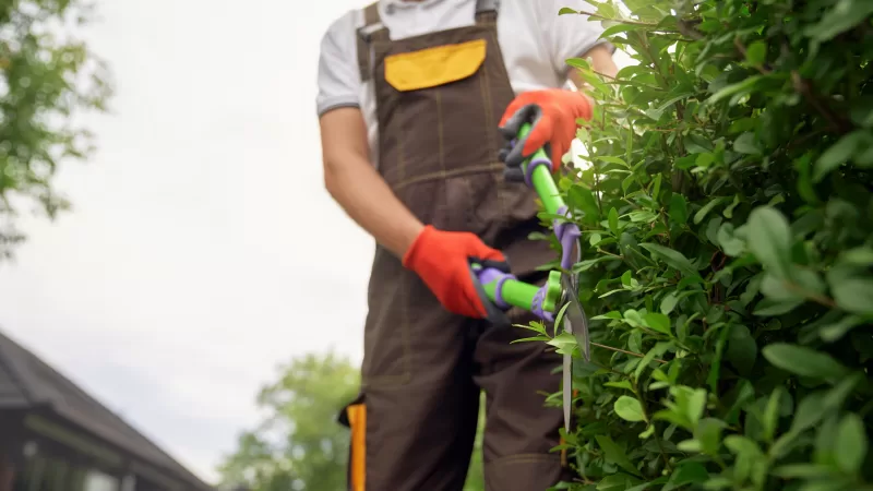 Condomínio contrata jardineiros em Bragança Paulista