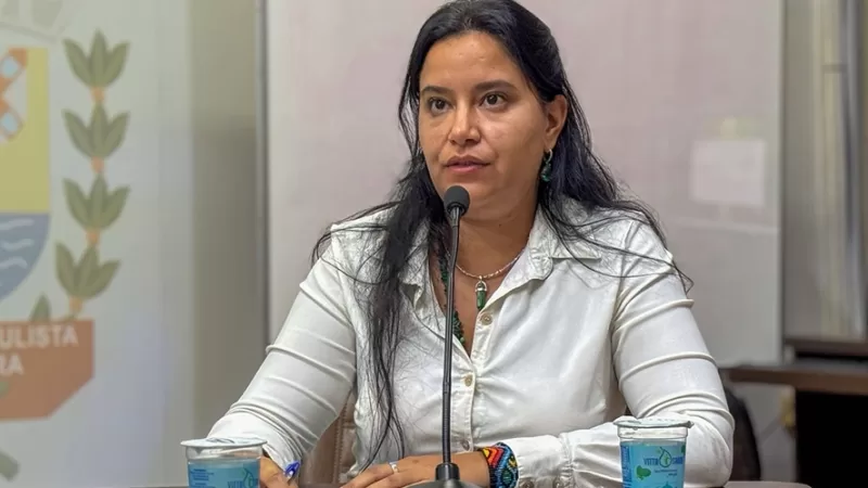 Ex-secretária de Meio Ambiente depõe na CEI do Aterro Clandestino