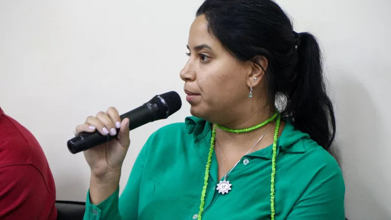 CEI do Aterro Clandestino ouve ex-secretária do Meio Ambiente na quinta