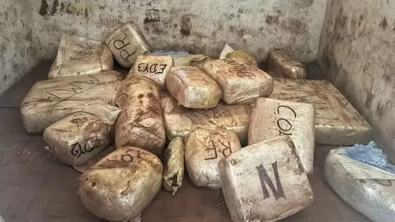 Polícia Civil apreende 300 quilos de drogas em Serra Negra