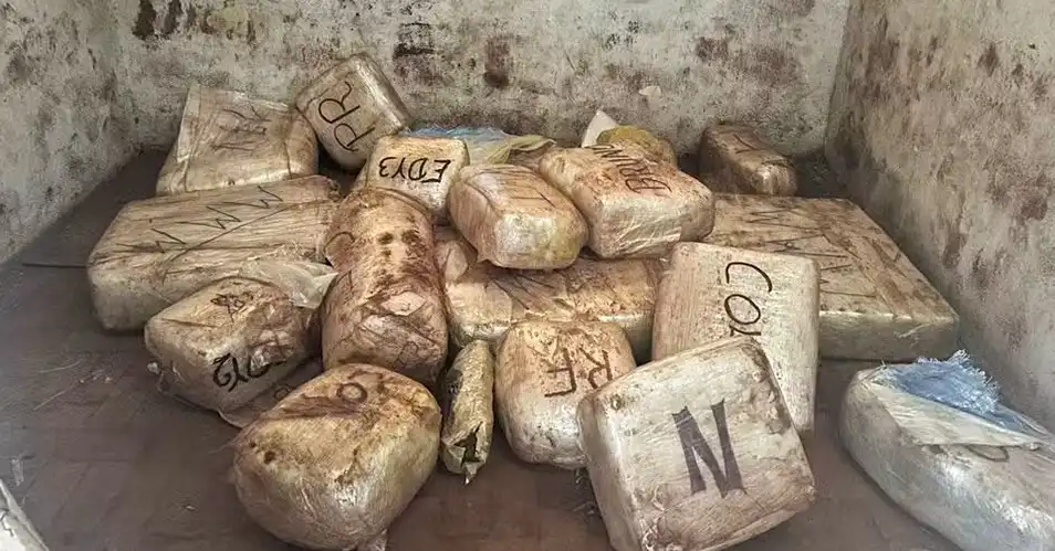 Polícia Civil apreende 300 quilos de drogas em Serra Negra