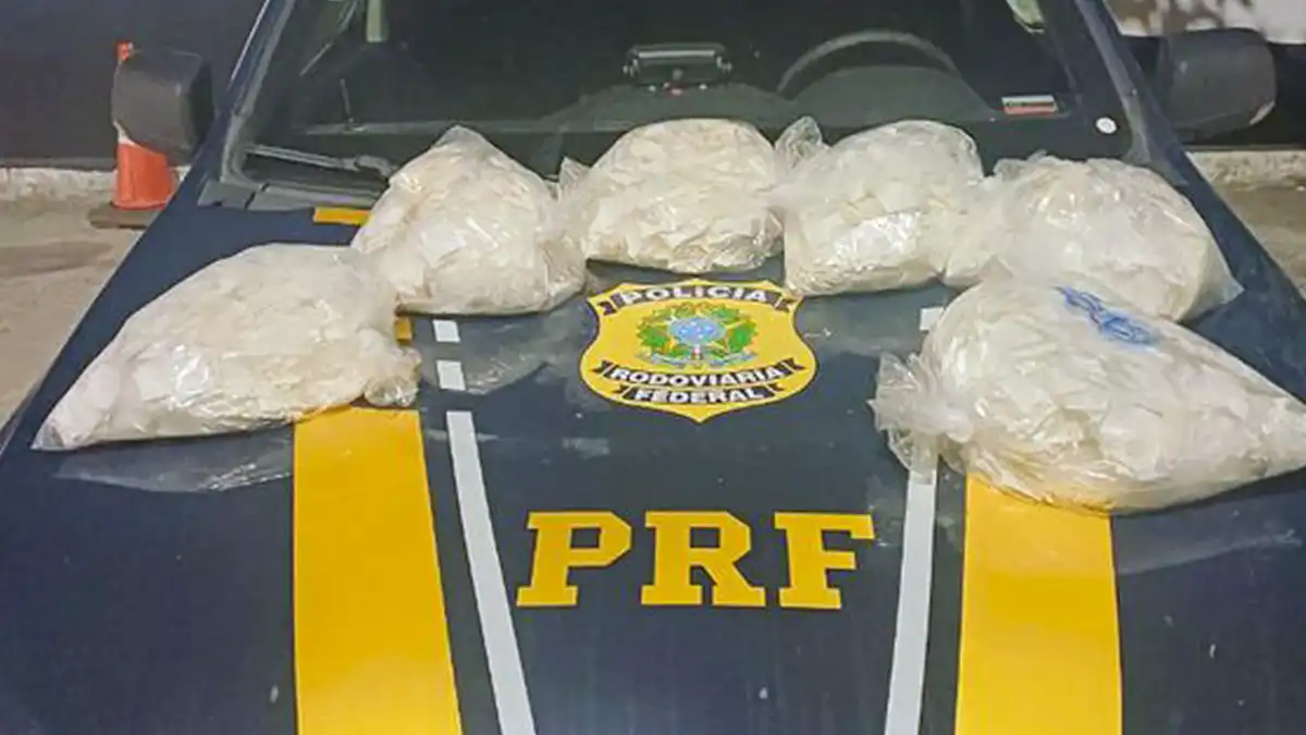 PRF apreende mais de 8 mil papelotes de cocaína na Fernão Dias
