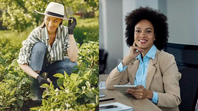 Grupo Expert promove seleção para Assistente de Faturamento e Trabalhador Rural