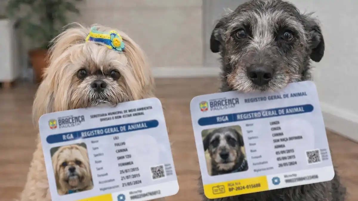 Saiba como fazer o RG Animal em Bragança Paulista